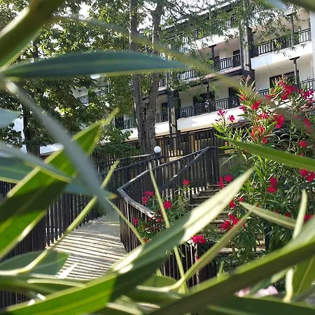 комплекс странджата 3*